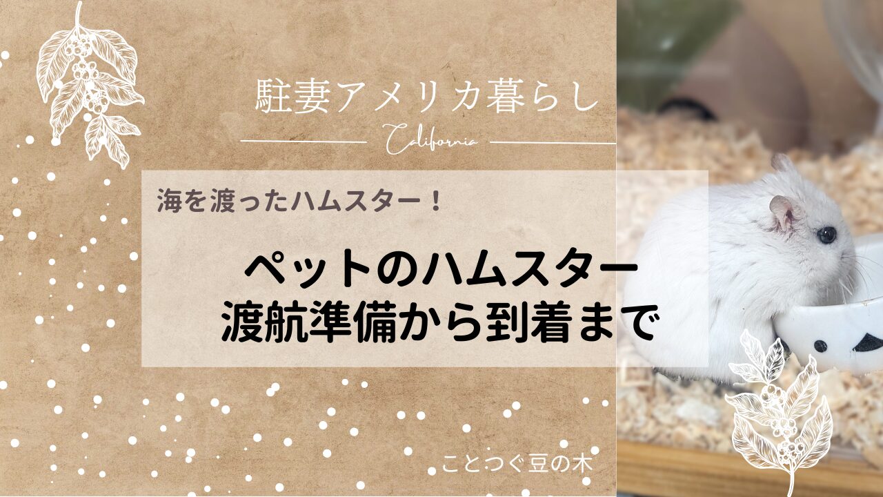 海を渡ったハムスターペットのハムスター渡航準備から到着まで